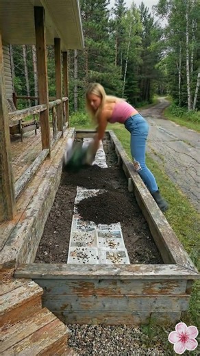 You Won't Believe What's Growing Beside This Porch