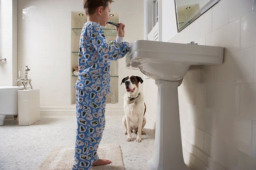 Xylitol Poisoning in Dogs: Signs, Treatment, and Prevention | PetMD