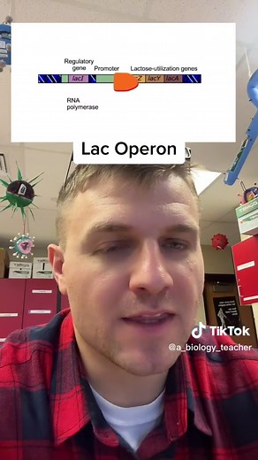 Lac Operon #lacoperon #operon #generegulation #apbiology #apbio