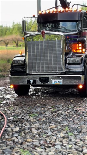 Exploring the Mighty W900 Log Truck
