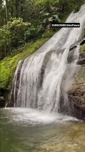 JUNGLE SLIDE Waterfall 🌿 Green Pool + Brown Noise | Rainforest Sleep
