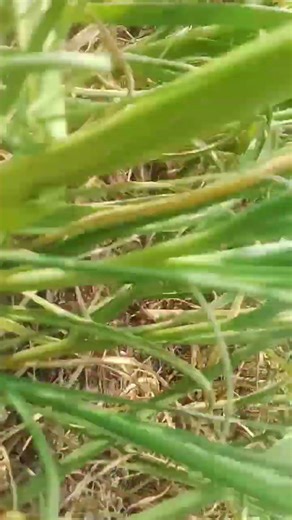 5 ફેબ્રુઆરી, 2026