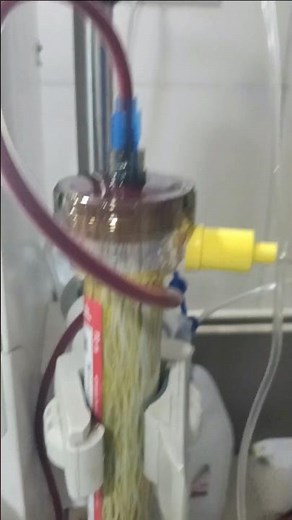plasma infusion #plasma #plasmapheresis #plasmaexchange