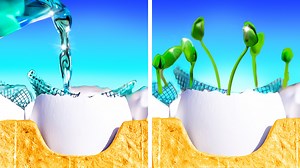 736K views · 3.3K reactions | Let’s make your garden blossom with these easy tips.  | 5-Minute MAGIC | Facebook