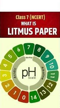 What is Litmus Paper? | Preparation & Uses | Class 7 NCERT Science | #Shorts