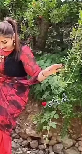 Traditional Attire Showcase in Scenic Outdoors