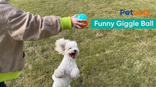 Watch Petbobi Wobble Giggle Ball for Dogs, Wag Dog Interactive Toy on Amazon Live