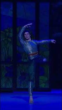 LA BAYADÈRE by Rudolf Noureev (Paul Marque)