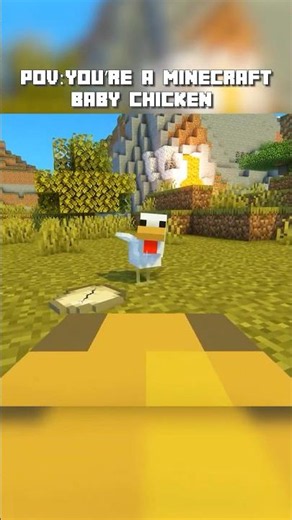 POV: You're a Minecraft Baby Chicken #shorts #minecraftshorts