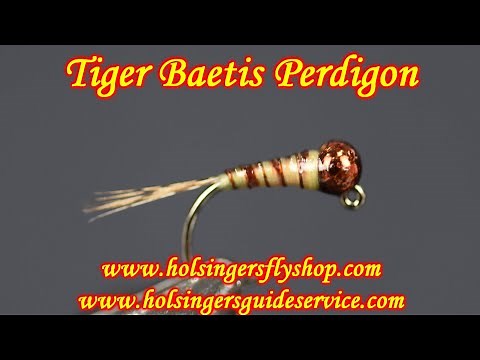 Tiger Baetis Perdigon, Holsinger's Fly Shop