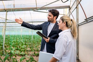 Sustainability and Social Impact | RMIT Online