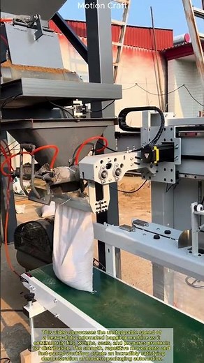 Unstoppable Speed! Watching a Heavy-Duty Automated Bagging Machine Work