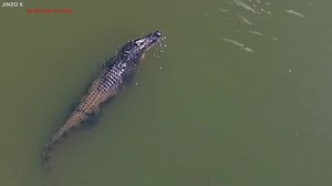 Scientists TERRIFYING New Discovery In The Sahara Desert Changes Everything! | Extra Alien