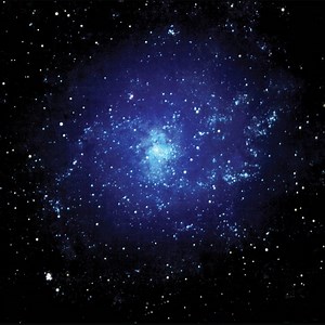 El ave - Letra - Café Tacuba