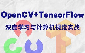 这才是我想要的项目实战！【OpenCV+TensorFlow】清华大佬带你做深度学习与计算机视觉项目！可以说非常强了！