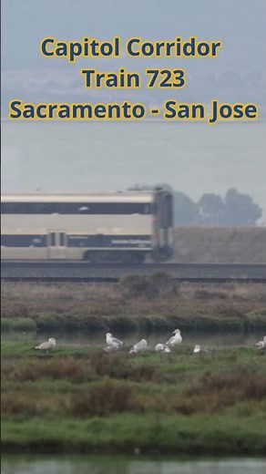 Amtrak Capitol Corridor trains passing Alviso
