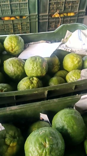 #today 12 January 2026 #new Orange 🍊 2 Number Maal