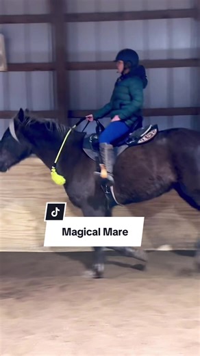Princess Tiana: The Kind and Gentle Magical Mare