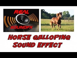 Horse galloping sound effect - realsoundFX