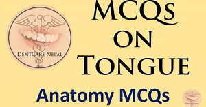 MCQs on Tongue - Anatomy MCQs