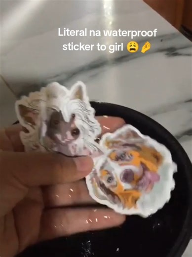 Create Stunning Waterproof Stickers for Journal Décor