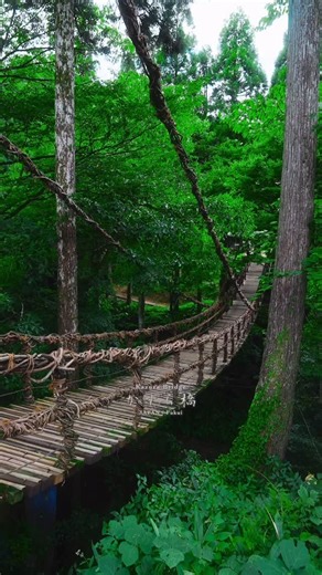 Toma.film on Instagram: "Leave a comment if you want to know the spot ⬇︎ 📍かずら橋 – Vine Bridge of Fukui, Fukui, JAPAN 自然の中に架かる藤蔓の橋「かずら橋」。 足元のすき間から川が見えて、渡るたびにスリルと美しさを感じました。 昔の人々の知恵と自然の力が共存するような、不思議な魅力を持つ場所です。 Deep in the nature of Fukui stands the “Kazura Bridge,” a vine bridge made entirely from wisteria vines. Looking down through the gaps beneath your feet gives both a thrill and a sense of awe. It’s a mysterious place where human craftsmanship and the power of nature intertwine in harmony. 🎥 