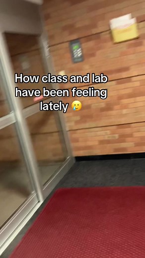 Experiencing College Class and Lab Life