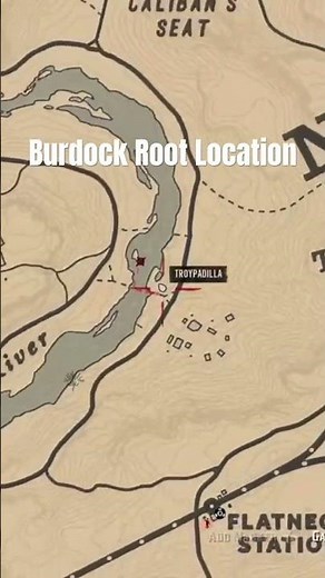 Burdock Root Location #rdr2 #gaming #arrakisstudio #xbox #rdrgameplay