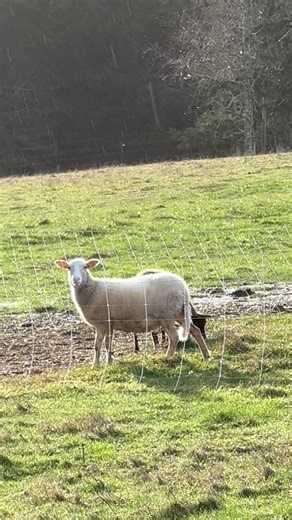 Ty (@tylersloanphotography)’s videos with original sound - Ty