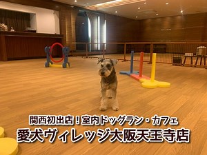 【愛犬ヴィレッジ天王寺店】大阪のホテルバリタワーに室内ドッグラン&ドッグカフェオープン！関西初出店！ - 関西＠わんこー関西で犬と一緒にお出かけできる場所を紹介！