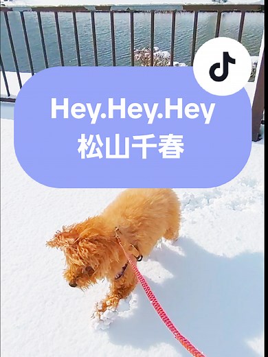 松山千春とダウンタウンのトークセッション