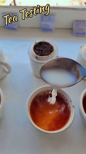 Tea Testing
