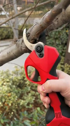 Testing This Powerful Electric Pruning Shear:Cutting Through Thick Branches Like Butter#youtubeshort