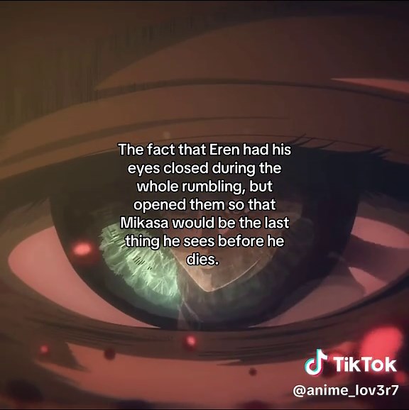 Eren's Last Moments with Mikasa in Attack on Titan