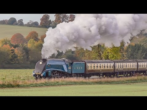 Steam Locomotives In The Autumn !