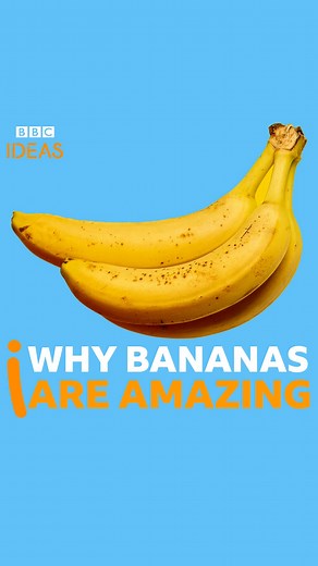 Why you should go bananas… for bananas 🍌 Here’s the science behind bananas! Made in partnership with The Open University #BBCIdeas #Bananas #Science #Food | BBC