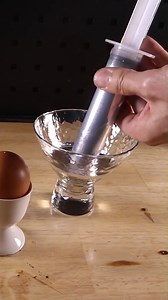 193K views · 158 reactions | This experiment is MAGIC | PressTube Reels | Facebook