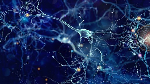 Stem Cells: ALS Treatment Breakthrough (2026)
