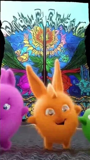 Motorola One Moto top rated and the Rainbow ones I think is the same as I thought I