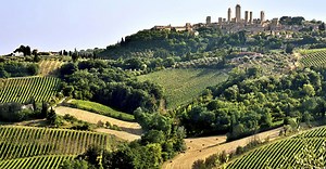 The Cal-Ital Sangiovese - The Italian Wine Girl