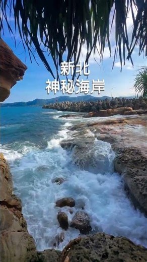 來金山別只去老街跟溫泉！這條神秘海岸真的超值得走一趟🌊
