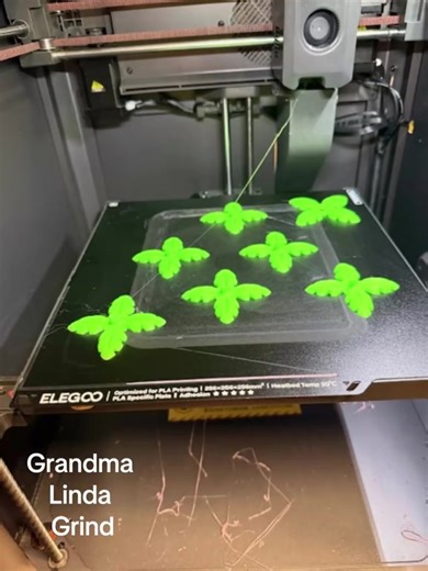 Grandma Linda doing the grandma grind#3DPrinter #3dprintingmachine#elegoo#ad5x#flashforge
