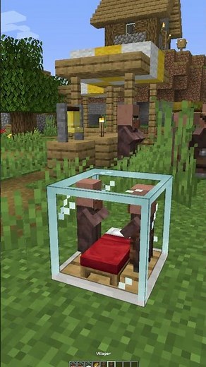 How This Mod Makes Minecraft Villagers SO EASY!