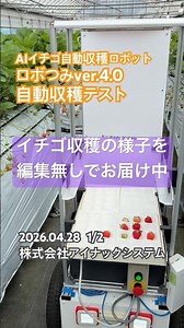 AIイチゴ自動収穫ロボット『ロボつみver.4.0』自動収穫テスト_2026.04.28 1/2