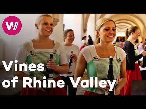 Germany - Preservation of a unique wine heritage | Worldwide Wine Civilizations