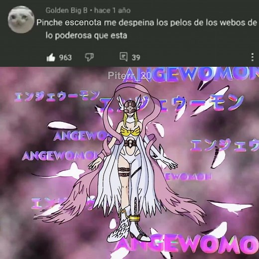 Angewomon y Angemon se digievolucionan en Digimon Last Evolution Kizuna