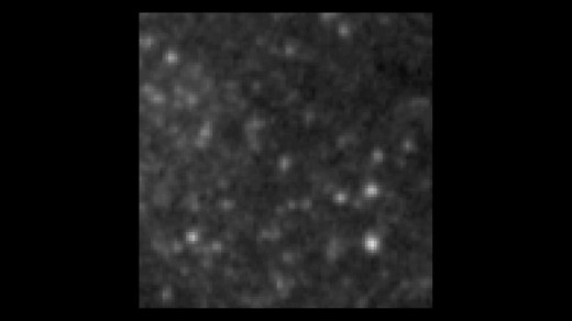 Cepheid Variable in NGC 3370 - NASA Science