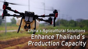 14K views · 65 reactions | For centuries, Thailand's agriculture...