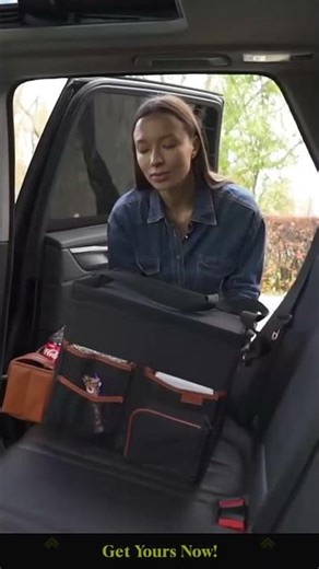Meet the Magic Box Car Organizer