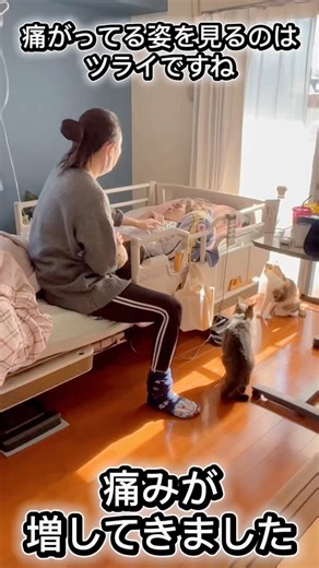 痛みが強くなってきました。見ているのはツライです。お薬を調整しながらケアをしながら見守りたいと思います。#在宅介護#親の介護#介護#介護士#終末期#膵臓癌